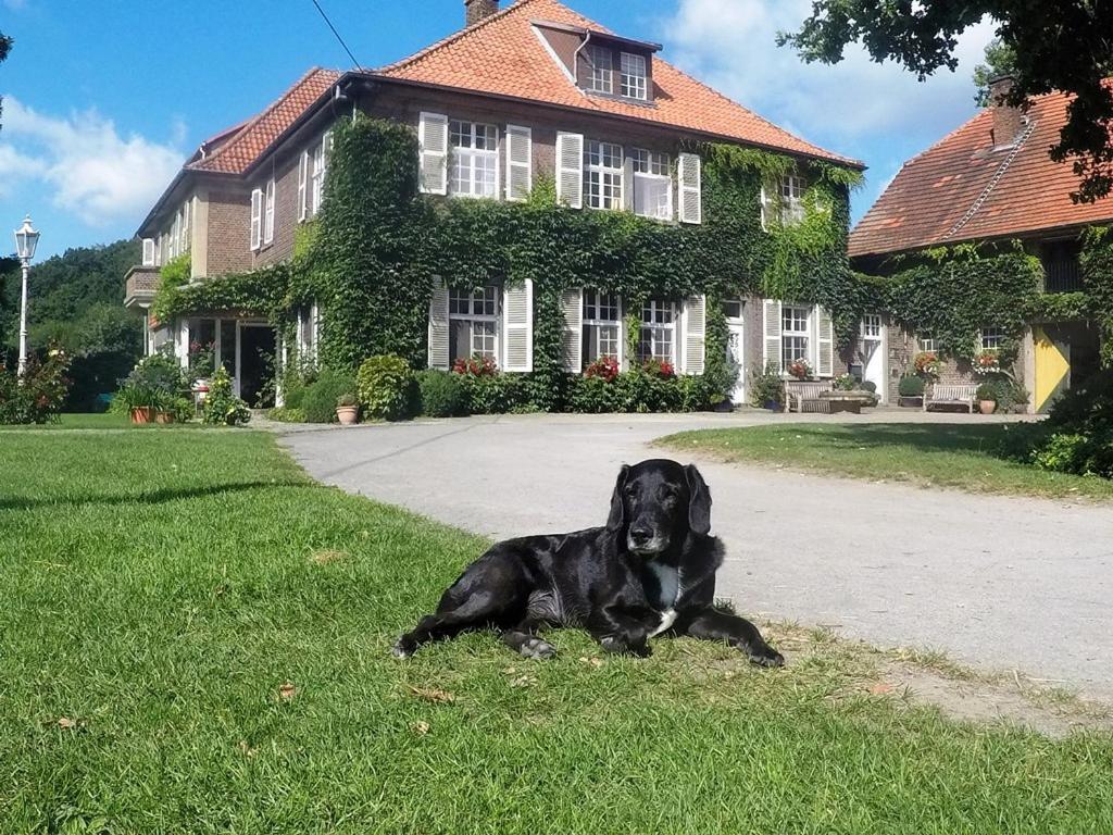 Ferienwohnungen Georgenbruch Everswinkel Eksteriør bilde